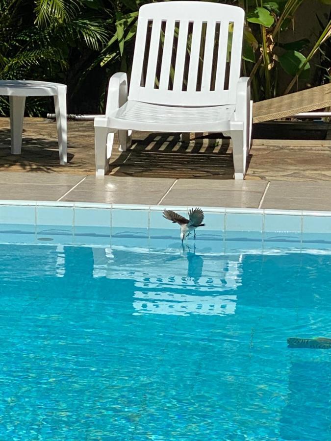 Bougainville - Hotel Pousada-Zen Salwador Zewnętrze zdjęcie